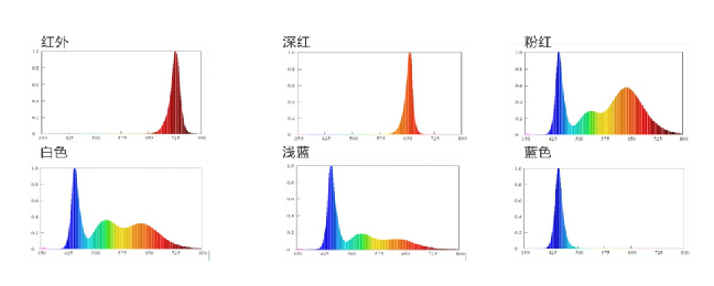 AG平台游戏·(中国)官方网站