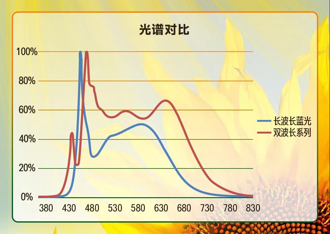 AG平台游戏·(中国)官方网站