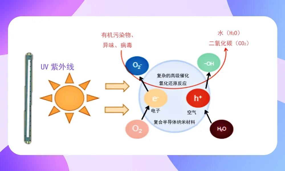 AG平台游戏·(中国)官方网站