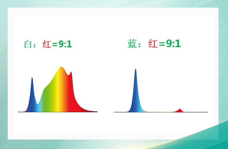 AG平台游戏·(中国)官方网站