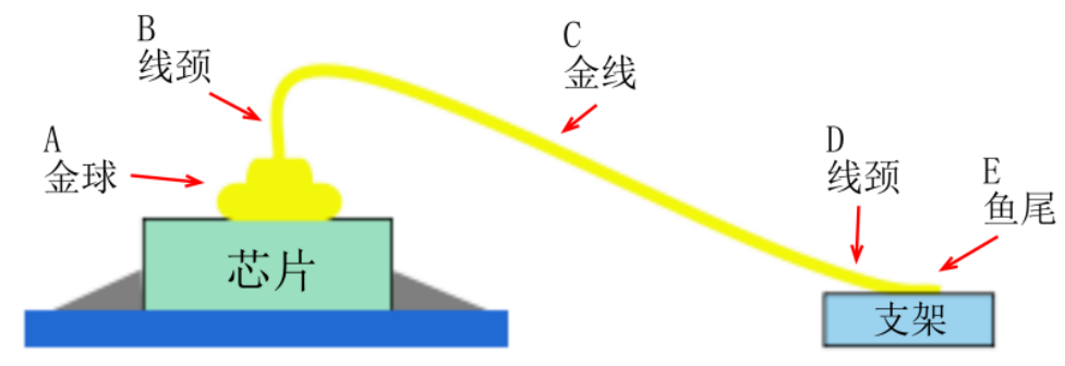 AG平台游戏·(中国)官方网站